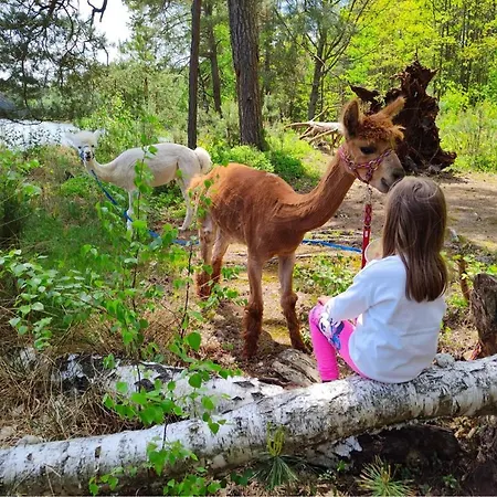 Yacht Club Wejsuny Сasa de vacaciones