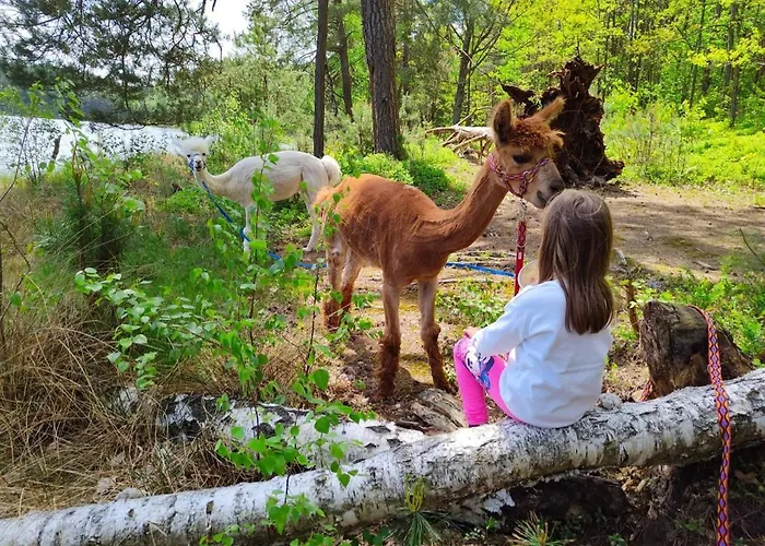 Yacht Club Wejsuny Дом отдыха